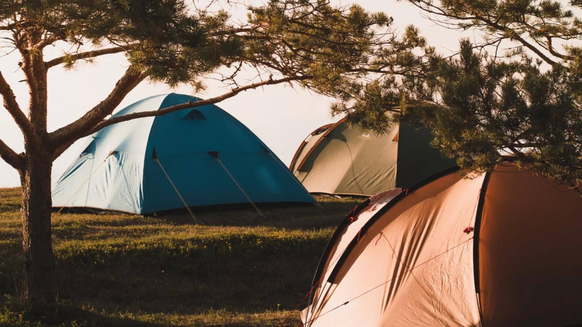 Camping Ladouceur Ramatuelle